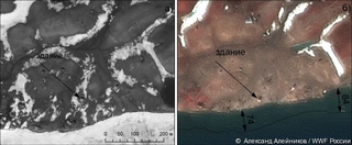 Satellite Images of Vize Island in 2009 (left) and 2016 (right). Image: Alexander Aleynikov / WWF-Russia